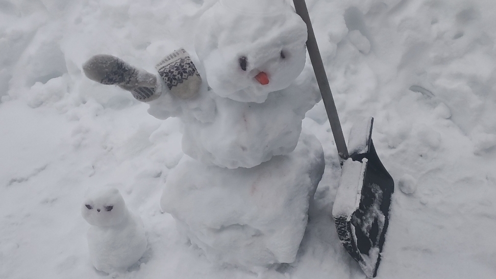 УТРЕННЕЕ ПРИВЕТСТВИЕ 🙋 от ШАПОКЛЯК 🤗🪻🪻🪻.А ЕЩЁ РЕШИЛА И ПОЖАЛИТЬСЯ 🤦💯🫢😠 смотреть онлайн