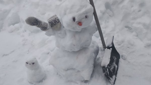 УТРЕННЕЕ ПРИВЕТСТВИЕ 🙋 от ШАПОКЛЯК 🤗🪻🪻🪻.А ЕЩЁ РЕШИЛА И ПОЖАЛИТЬСЯ 🤦💯🫢😠