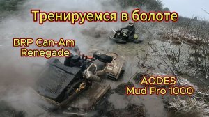 Тренировка в болоте на квадроциклах  Aodes Mud Pro 1000 и BRP Can-AM Renegade