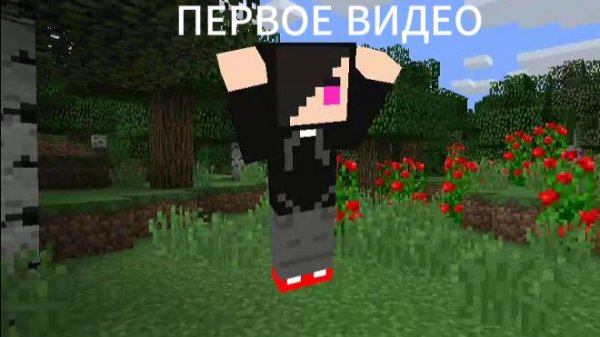 МОЁ ПЕРВОЕ ВИДЕО,ЗЛЫЕ ЖИТЕЛИ РЕШИЛИ НАПАСТЬ НА НАС
