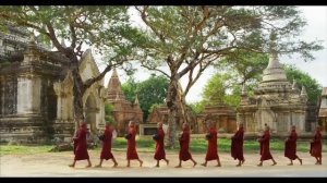 Аквариум - Брод