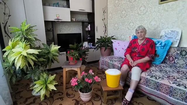 "Советы бабушки Агафьи" смотреть онлайн