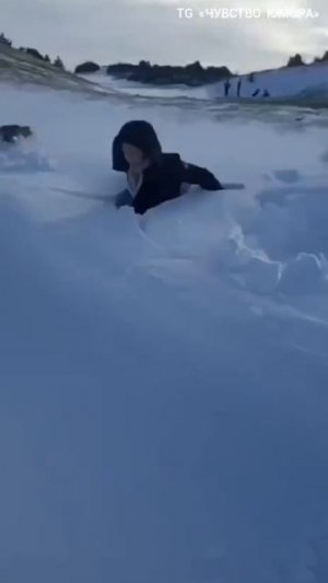 Спугнули зайца