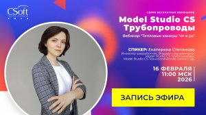Вебинар "Тепловые камеры "от и до" в Model Studio CS Трубопроводы