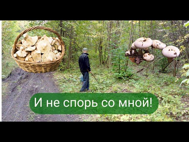 ✔Это НЕ осиновый груздь И даже не спорь со мной❗✔