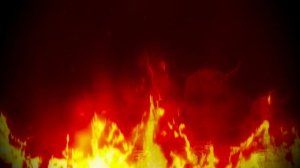 mechanical moth cathedral