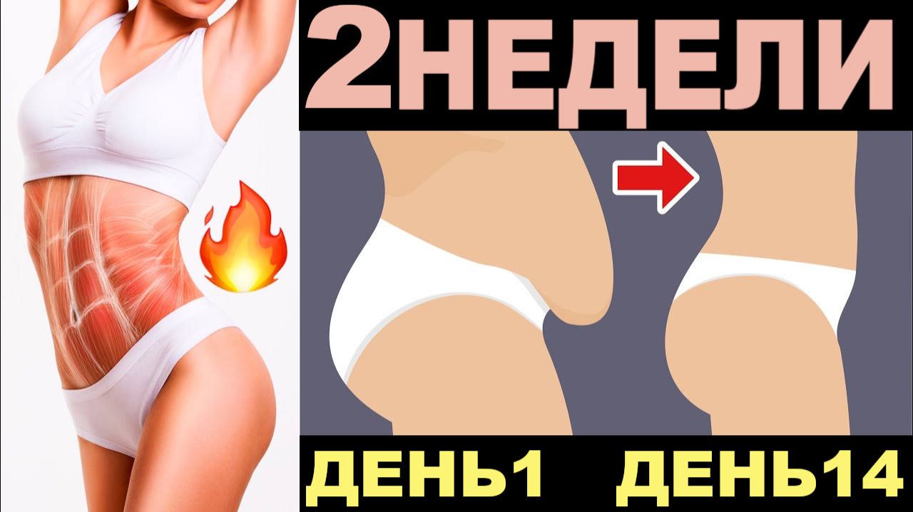 Стройный живот за 2 недели