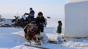 "На крыльях ветра Арктики»