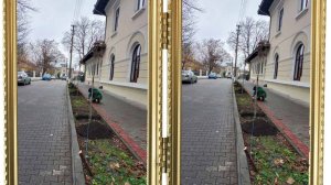 Вулички Чернівців     2025 архів