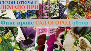 ФИКС ПРАЙС ОБЗОР / ЛЕМАНО ПРО / ПОКУПКИ ДЛЯ САДА / ЗАКУПКА СЕМЯН