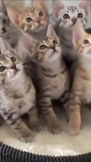 Смешно очень смешно !!! #юмор