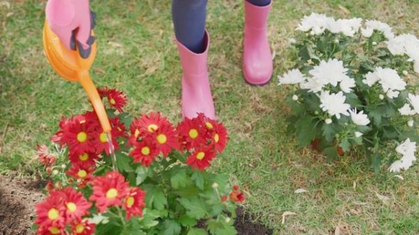 Дом инглавстрой