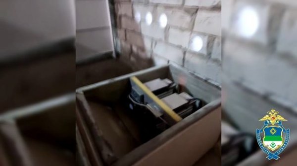 В Республике Коми правоохранители выявили майнера, причинившего энергокомпании ущерб на 6 млн рублей