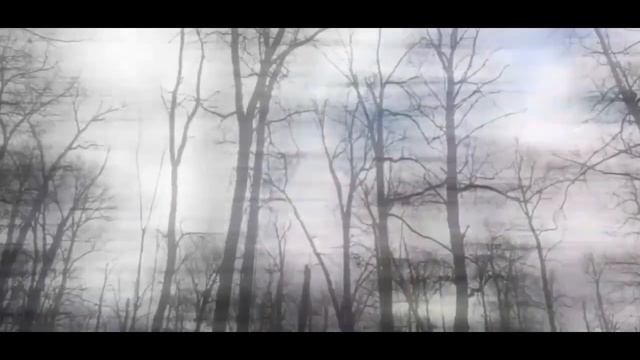 похищенный для леса ЧАСТЬ 1