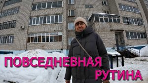 Повседневная рутина, взошли эустомы, купили кашпо, приехала дочка