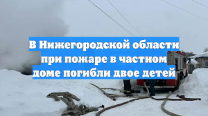 В Нижегородской области при пожаре в частном доме погибли двое детей