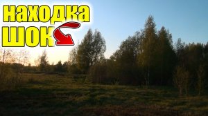 Были шокированы от такой находки!Коп старины с металлоискателем!