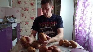 Сорта картофеля на моем участке