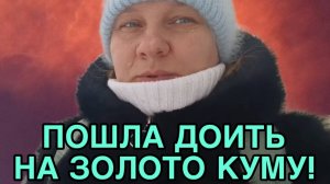 ПОШЛА ДОИТЬ НА ЗОЛОТО КУМУ! ОЛЬГА ИЗ ЗАУРАЛЬЯ. ОБЗОР.