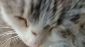 VLOG Купили ли рыбок?🐟 Подарок для Сёмы🎁