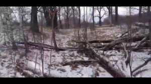 похищенный для леса ЧАСТЬ 15