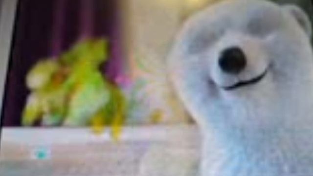 sialor_hijack_incedent2022