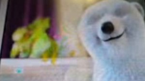 sialor_hijack_incedent2022