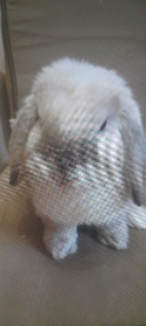 пушик как всегда