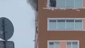 Кадры спасения из хостела в 1-м Магистральном тупике

Пожар в хостеле на севере Москвы потушили