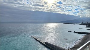 Апартамент на берегу моря
22 млн руб