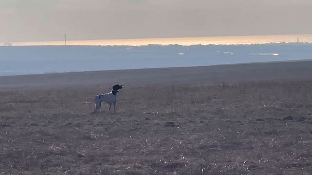 Едан. 16.02.26 смотреть онлайн