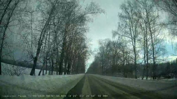 мороз и солнце зад