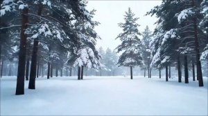 17 февраля - День перемен. Запреты и мистические знаки.