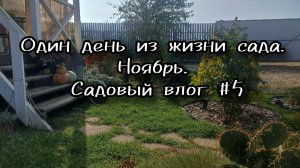 Ноябрь. Один день из жизни садовода. Рабочий влог # 5