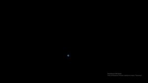 snouwruner контейнерная доставка