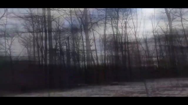 похищенный для леса ЧАСТЬ 3