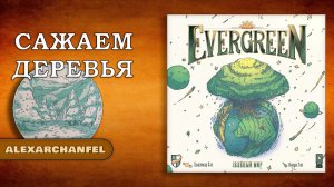 Evergreen. Зелёный мир настольная игра