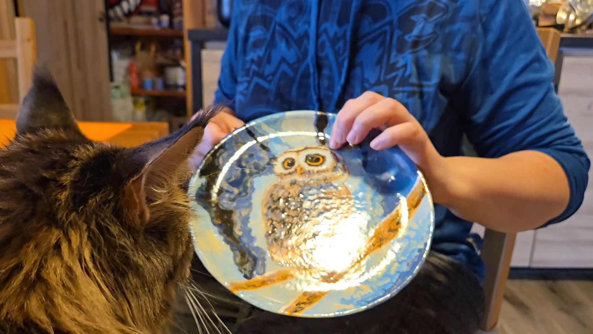 Февральская оттепель, коллекция тарелок и проделки питомцев смотреть онлайн