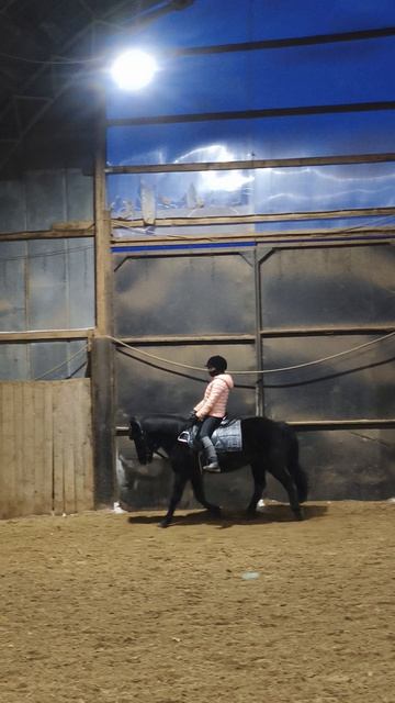 Даша и Наоми, рысь без стремян в манеже.