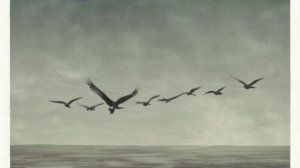 200 Рок 200 диск