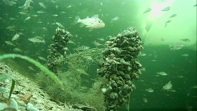 1000009988.mp4Волга гл.2м.16.02.2026г. смотреть онлайн