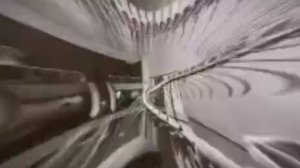 Что будет если вымрут древние животные