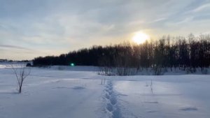 Деревня Окунево, зимний тюп (ведьмин круг)