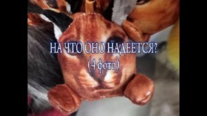 ЧТО ОНО ПЫТАЛОСЬ ДОНЕСТИ😭😭😭😭?