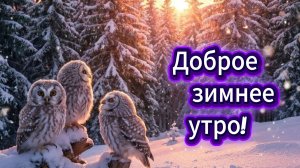 ❄️ Доброе зимнее утро! Красивые открытки!