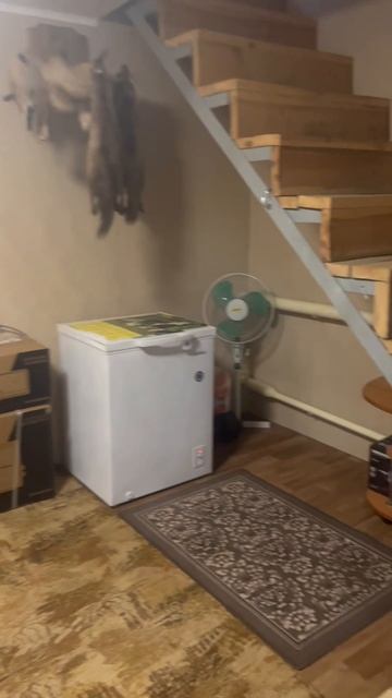 Copy_098BB3D8-8F84-437A-B0E7-B6CF838CA6A8