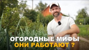 НЕ ВЕРЬТЕ СЛУХАМ — ОГОРОД ПРОТИВ МИФОВ. Разоблачение самых распространённых заблуждений.