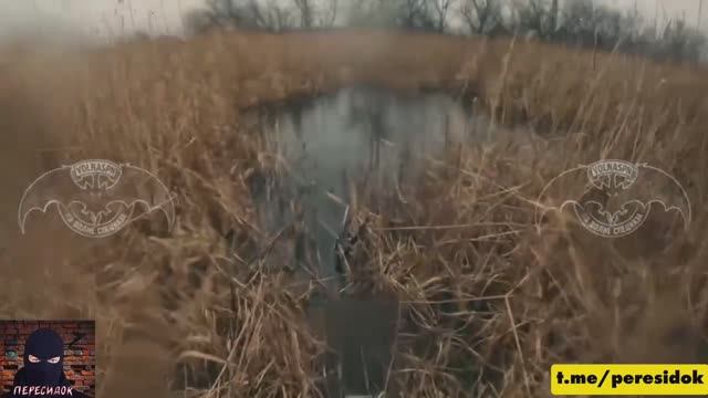 Налёт спецназа России на позиции ВСУ (вид от первого лица) смотреть онлайн