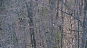 Официальный трейлер "Seven Days 'Till Midnight"