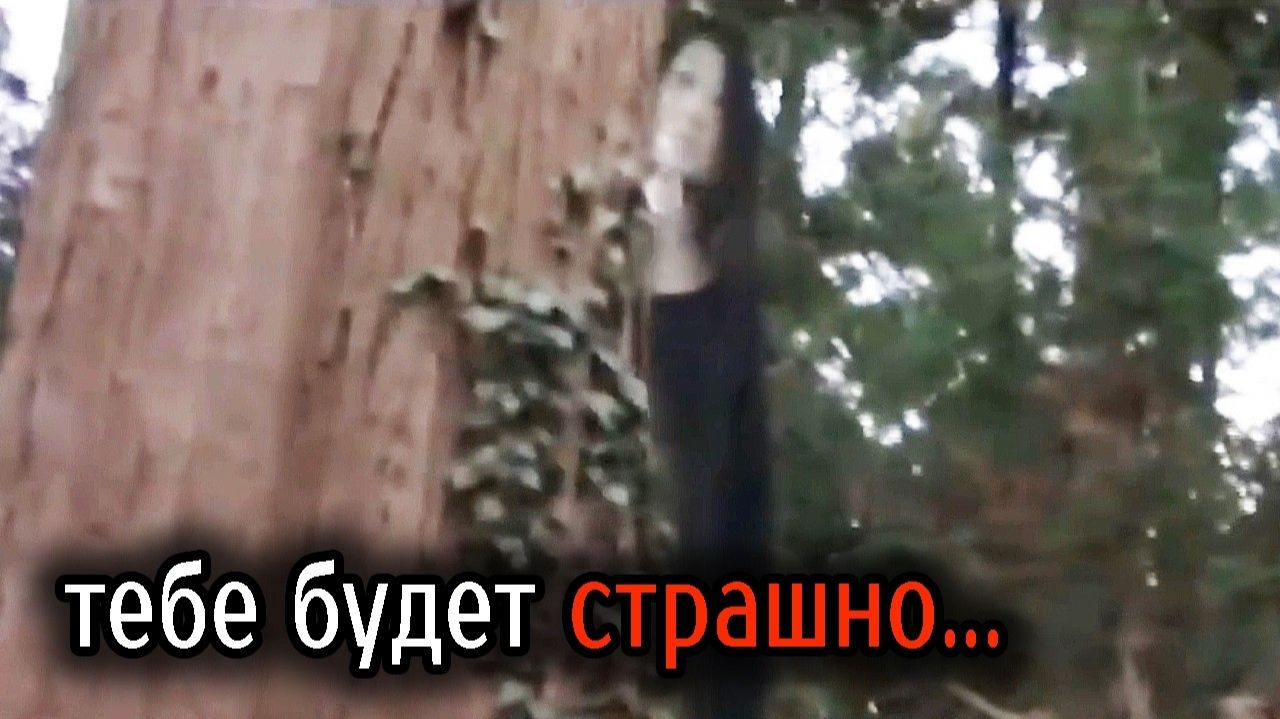 Новая жуткая подборка Самых Страшных Видео в Мире | Самые Ужасные Видео со Всего Мира #1 смотреть онлайн